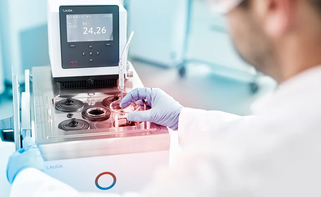 Perspektive und Sicherheit